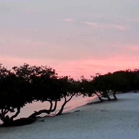 Aruba Surfside Marina Hotel Oranjestad Eksteriør billede